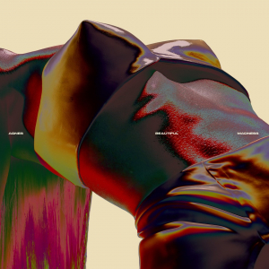 Agnes - Beautiful Madness (Transparent Milky Clear Vinyl) i gruppen VINYL / Pop-Rock hos Bengans Skivbutik AB (5648376)