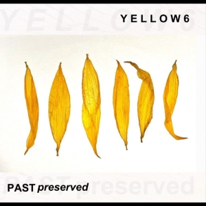 Yellow6 - Past Preserved i gruppen VI TIPSAR / Fredagsreleaser / 2025-11-28 hos Bengans Skivbutik AB (5648604)