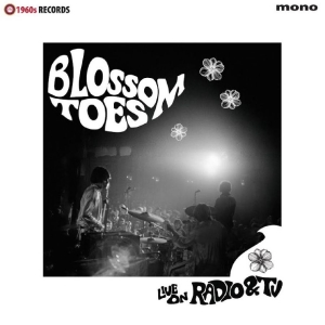 Blossom Toes - Live On Radio & Tv i gruppen VINYL / Pop-Rock hos Bengans Skivbutik AB (5650047)