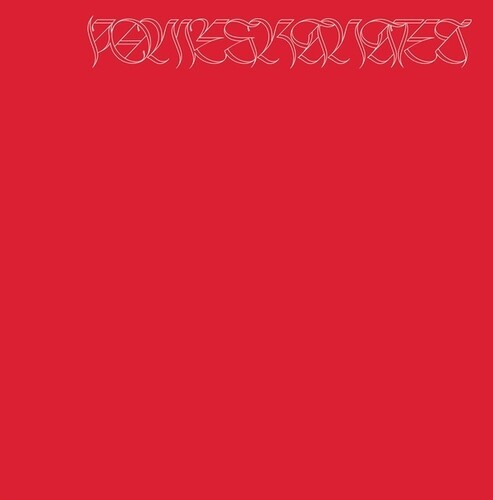 Nicolás Jaar - Pomegranates i gruppen VINYL / Pop-Rock hos Bengans Skivbutik AB (5650097)