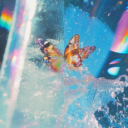 Daphni - Butterfly i gruppen CD / Toppsäljare hos Bengans Skivbutik AB (5650098)