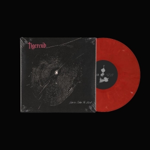 Tigercub - Nets To Catch The Wind i gruppen VI TIPSAR / Fredagsreleaser / 2026-04-24 hos Bengans Skivbutik AB (5650439)