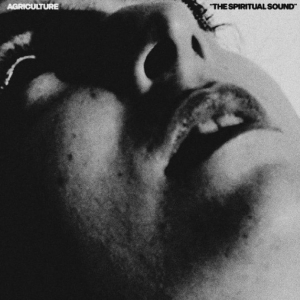 Agriculture - The Spiritual Sound i gruppen VINYL / Hårdrock,Pop-Rock hos Bengans Skivbutik AB (5650606)