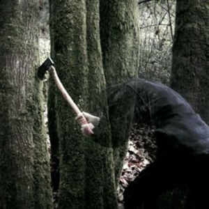 Baptists - Bushcraft i gruppen CD / Hårdrock/ Heavy metal hos Bengans Skivbutik AB (565115)