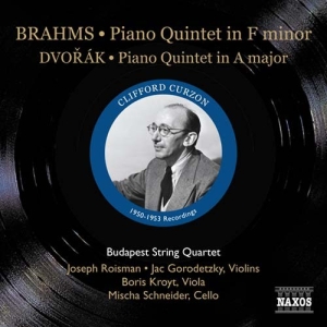 Dvorak/Brahms - Pian i gruppen Externt_Lager / Naxoslager hos Bengans Skivbutik AB (565156)