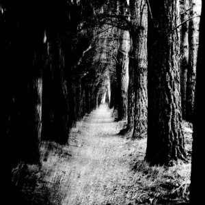 Stray Theories - Falter i gruppen VINYL / Kommande / Pop-Rock hos Bengans Skivbutik AB (5651838)