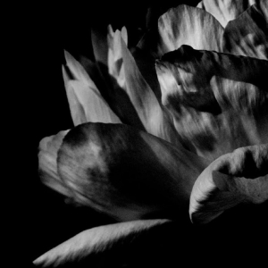 Louise Roam - Là Où Passe La Nuit i gruppen CD / Kommande / Pop-Rock hos Bengans Skivbutik AB (5651862)