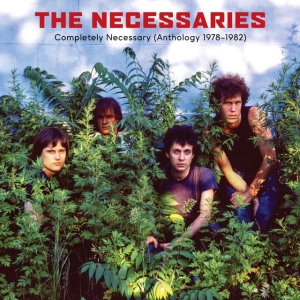 The Necessaries - Completely Necessary (Antholog i gruppen VINYL / Kommande / Pop-Rock,Punk hos Bengans Skivbutik AB (5652004)
