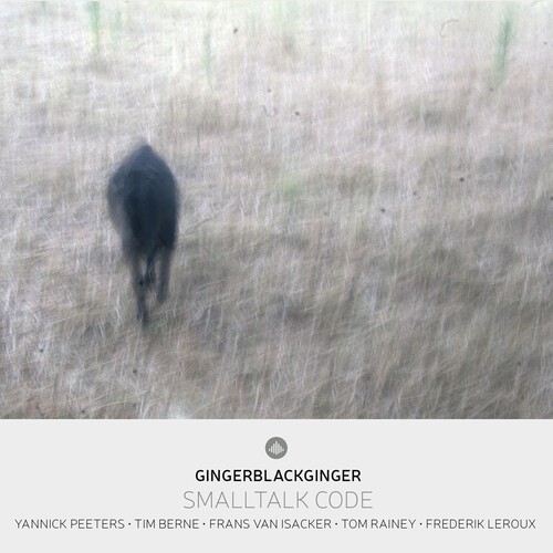 Yannick Peeters & Gingerblackginger & Tim Berne - Smalltalk Code i gruppen CD / Toppsäljare hos Bengans Skivbutik AB (5652008)