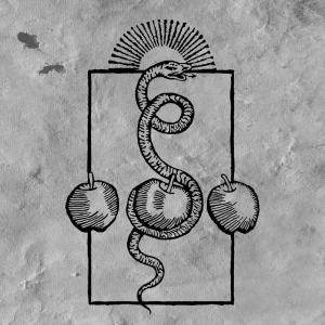 Darvaza - We Are Him i gruppen VINYL / Kommande / Hårdrock hos Bengans Skivbutik AB (5652354)