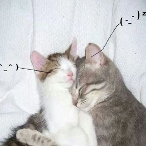 Retail Drugs - I Love You So! i gruppen Kommande / Pop-Rock hos Bengans Skivbutik AB (5653488)