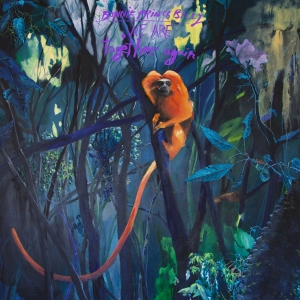 Bonnie 'Prince' Billy - We Are Together Again (Clear Vinyl) i gruppen VINYL / Kommande / Pop-Rock hos Bengans Skivbutik AB (5653600)