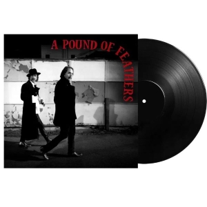 The Black Crowes - A Pound Of Feathers (Black Vinyl) i gruppen VINYL / Kommande / Pop-Rock hos Bengans Skivbutik AB (5653867)
