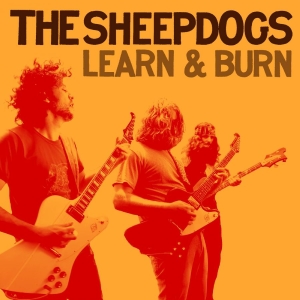 Sheepdogs The - Learn & Burn i gruppen CD / Kommande / Pop-Rock hos Bengans Skivbutik AB (5653975)