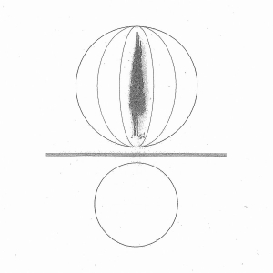 Stephen O'malley - Spheres Collapser i gruppen VINYL / Kommande / Dance-Techno hos Bengans Skivbutik AB (5654002)