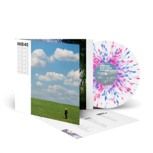 Lantlos - Nowhere In Between Forever (Splatte i gruppen VINYL / Kommande / Pop-Rock hos Bengans Skivbutik AB (5654032)