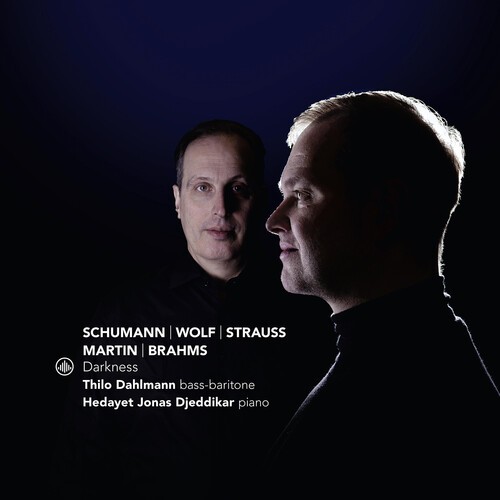 Thilo Dahlmann & Hedayet Jonas Djeddikar - Darkness i gruppen CD / Klassiskt hos Bengans Skivbutik AB (5654281)