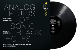 Moor Mother - Analog Fluids Of Sonic Black Holes i gruppen VINYL / Kommande / Pop-Rock hos Bengans Skivbutik AB (5654952)