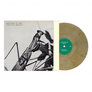 Courtney Barnett - Creature Of Habit i gruppen VINYL / Kommande / Pop-Rock hos Bengans Skivbutik AB (5654976)
