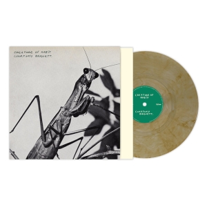 Courtney Barnett - Creature Of Habit (Caramel Color Vinyl) i gruppen VINYL / Kommande / Pop-Rock hos Bengans Skivbutik AB (5654976)