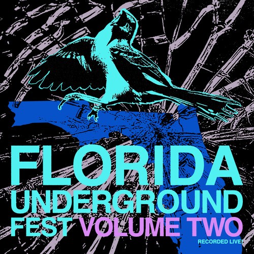Various Artists - Florida Underground Fest Vol. 2 i gruppen VINYL / Pop-Rock hos Bengans Skivbutik AB (5655158)