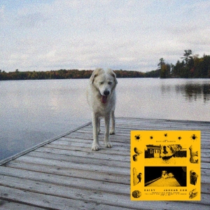 Jaguar Sun - Daisy (Black And Yellow Swirl Vinyl i gruppen VINYL / Kommande / Pop-Rock hos Bengans Skivbutik AB (5655170)