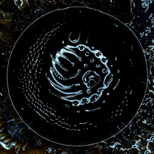 Stonus - Stonus i gruppen CD / Hårdrock hos Bengans Skivbutik AB (5655319)