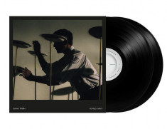James Blake - Trying Times i gruppen VINYL / Kommande / Pop-Rock hos Bengans Skivbutik AB (5655589)