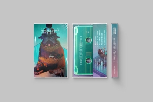 Michael Staple - Video Game Lofi: Donkey Kong Country 2: Diddy's Kong Quest (Clear i gruppen hos Bengans Skivbutik AB (5655766)