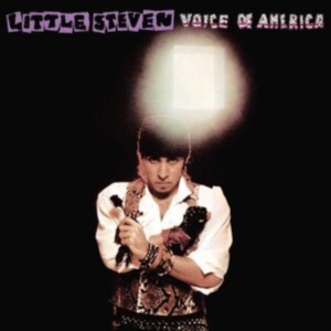 Little Steven - Voice Of America i gruppen VINYL / Pop-Rock hos Bengans Skivbutik AB (5655845)