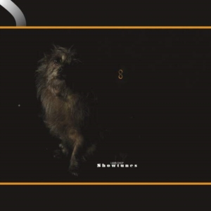 Lambchop - Showtunes i gruppen VINYL / Pop-Rock hos Bengans Skivbutik AB (5655861)