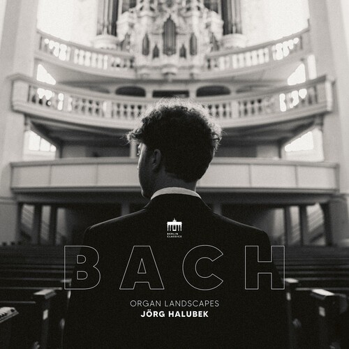 Bach J S - Organ Landscapes i gruppen VINYL / Klassiskt hos Bengans Skivbutik AB (5655982)