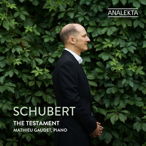 Franz Schubert - The Testament i gruppen VI TIPSAR / Fredagsreleaser / 2026-04-10 hos Bengans Skivbutik AB (5656124)