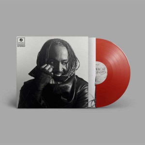 Thundercat - Distracted (Red Vinyl) i gruppen VINYL / Kommande / RnB-Soul hos Bengans Skivbutik AB (5656183)
