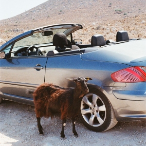 Exek - Prove The Mountains Move i gruppen VINYL / Kommande / Pop-Rock hos Bengans Skivbutik AB (5656303)