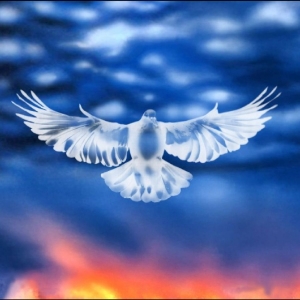 Falty Dl - Mission Barnhus i gruppen VINYL / Kommande / Pop-Rock hos Bengans Skivbutik AB (5656445)