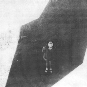 Field Commander Ali - The Next From Field Commander i gruppen VINYL / Kommande / Pop-Rock hos Bengans Skivbutik AB (5656577)