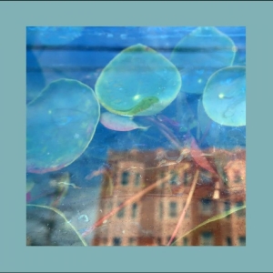 Reds Pinks & Purples The - Acknowledge Kindness i gruppen CD / Kommande / Pop-Rock hos Bengans Skivbutik AB (5656732)