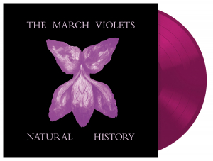 The March Violets - Natural History (Violet Vinyl Lp) Rsd 2026 i gruppen VI TIPSAR / Record Store Day / RSD 2026 hos Bengans Skivbutik AB (5656901)