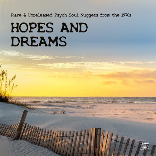 Various Artists - Hopes And Dreams - Rare & Unrelease i gruppen VI TIPSAR / Fredagsreleaser / 2026-03-20 hos Bengans Skivbutik AB (5658162)