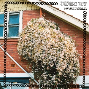 Surprise Chef - Daylight Savings i gruppen VINYL / Jazz hos Bengans Skivbutik AB (5658443)