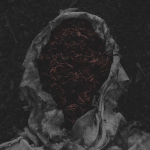 Gorrch - Stillamentum (Vinyl Lp) i gruppen VI TIPSAR / Fredagsreleaser / 2026-03-13 hos Bengans Skivbutik AB (5658632)