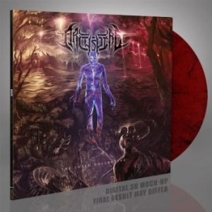 Archspire - Lucid Collective (Transparent Red/B i gruppen VINYL / Kommande / Hårdrock hos Bengans Skivbutik AB (5659071)
