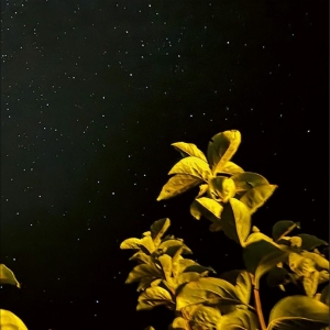 Thomas Peter - Changing Bodies i gruppen VINYL / Kommande / Pop-Rock hos Bengans Skivbutik AB (5660027)