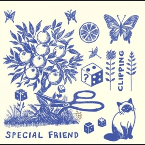 Special Friend - Clipping i gruppen VINYL / Kommande / Pop-Rock hos Bengans Skivbutik AB (5660036)