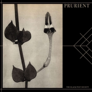 Prurient - The Black Post Society i gruppen CD / Kommande / Pop-Rock hos Bengans Skivbutik AB (5660076)