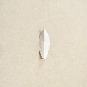 Sylvain Chauveau - The Complexity Of The Simple i gruppen VINYL / Kommande / Pop-Rock hos Bengans Skivbutik AB (5662608)