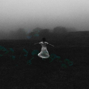 Deerlady - Deerlady i gruppen VINYL / Kommande / Pop-Rock hos Bengans Skivbutik AB (5662867)