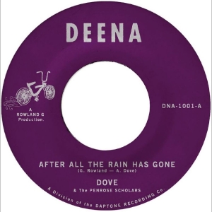 Dove - After All The Rain Has Gone B/W Gri i gruppen VINYL / Kommande / Pop-Rock hos Bengans Skivbutik AB (5663072)