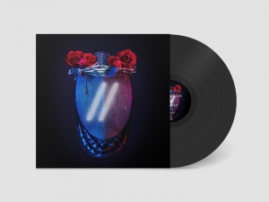 Blackbook - Different (Vinyl Lp) i gruppen VINYL / Kommande / Pop-Rock hos Bengans Skivbutik AB (5663900)